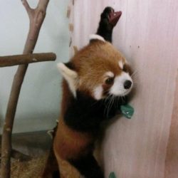 大牟田市動物園2